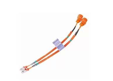 What is High Voltage Wiring Harness？