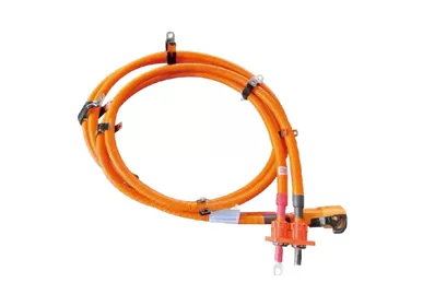 New Energy Vehicle Harness Wire Industry Background