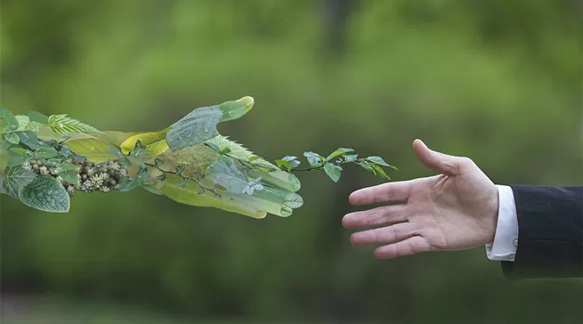 With an Investment of US$100 Million, Rosenberg's Electronic Project was Signed in Changzhou National High-tech Zone