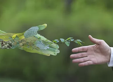 With an Investment of US$100 Million, Rosenberg's Electronic Project was Signed in Changzhou National High-tech Zone